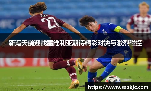 新泻天鹅迎战塞维利亚期待精彩对决与激烈碰撞